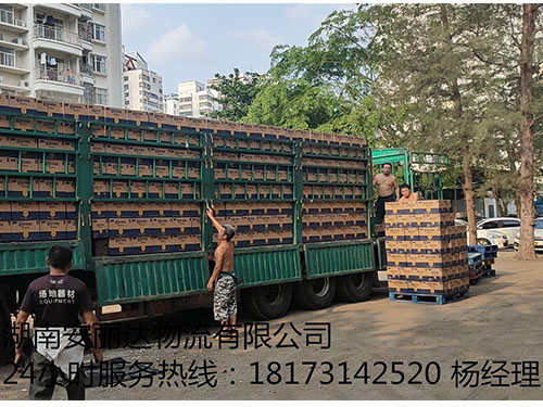 饮品(pǐn)专业运输就选(xuǎn)湖(hú)南米兰官方网页版和安丽达(dá)物流(liú)有限公司 饮品专(zhuān)业运输就(jiù)选湖(hú)南米兰官方网页版和安丽达物流(liú)有限公司