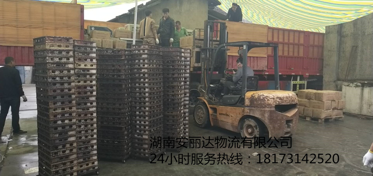 &#31859;&#20848;&#23448;&#26041;&#32593;&#39029;&#29256;&#45;&#31859;&#20848;&#40;&#20013;&#22269;&#41;
